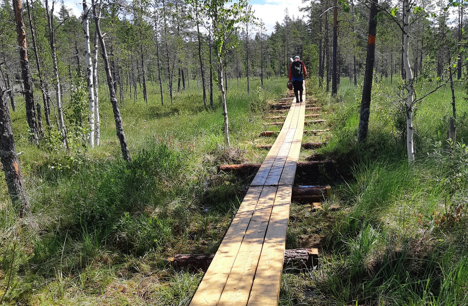 Spångar finns över blöta partier så det går bra att cykla.
