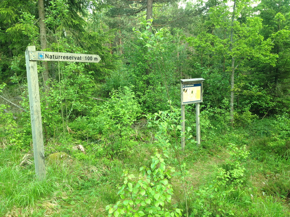 Stig till entré reservat. 