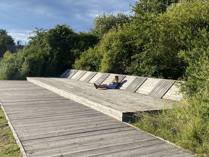 Solsängar