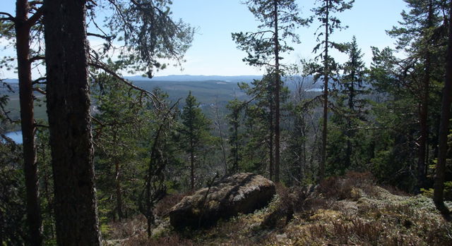 Storkvarnberget, Naturreservat