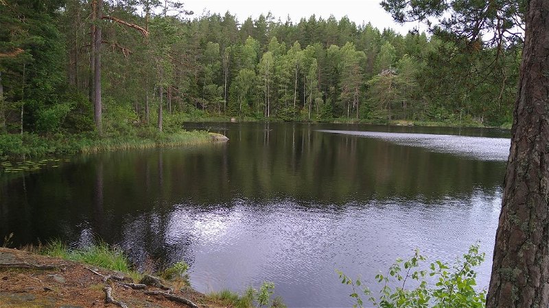 Kvarnsjön Hökensås