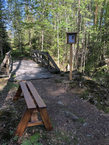 3. Hammarsebo såg