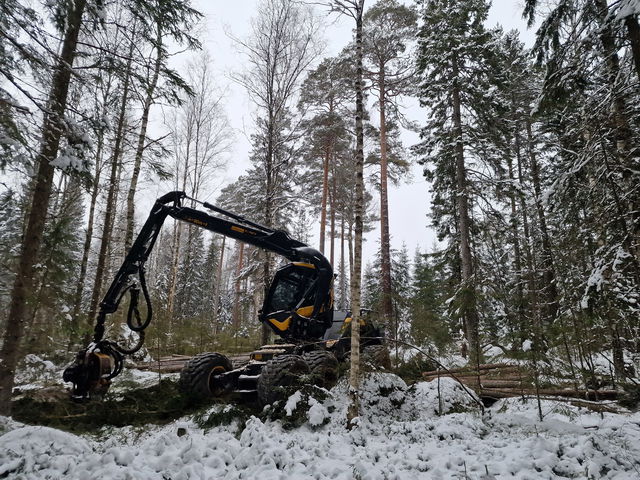 Hyggesfritt skogsbruk, Skinnskatteberg - Färnaleden