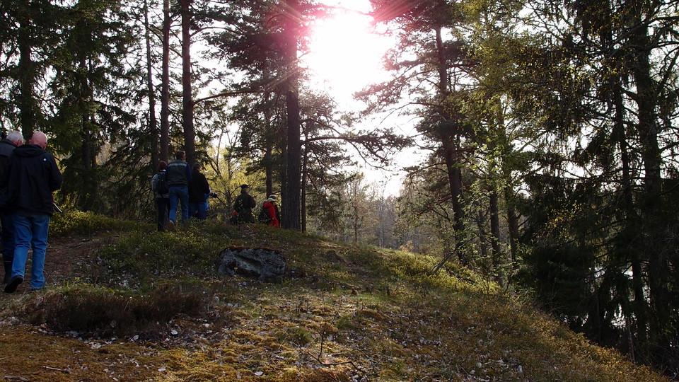 Kvällspromenad längs Västra Långängskärret. Foto Lidingö stad