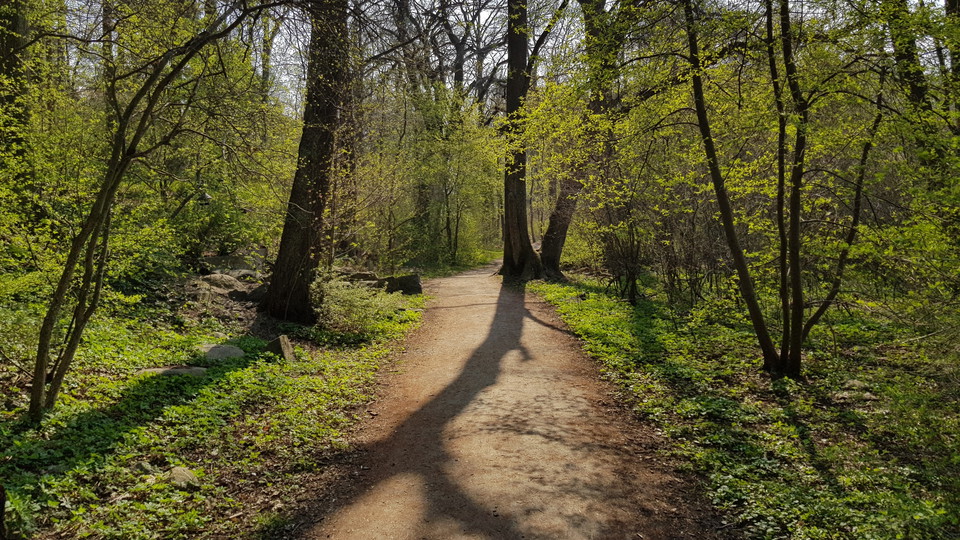 Kappsta. Foto Lidingö stad