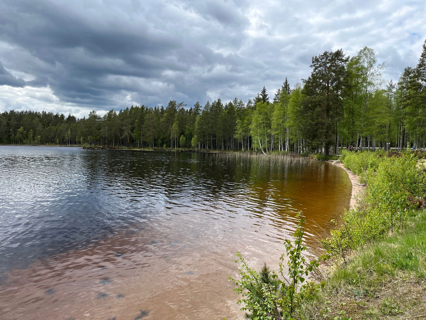 Vy över naturbadplats