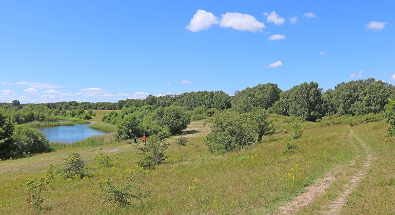 Södra Saxtorpssjön ligger i den nordöstra delen av reservatet.