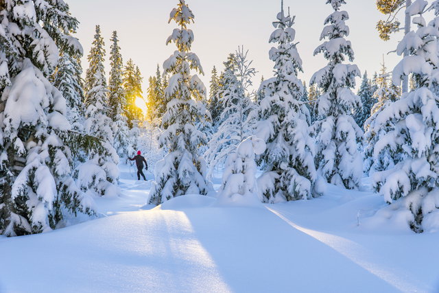 Spikbodarna motionsspår 13 km