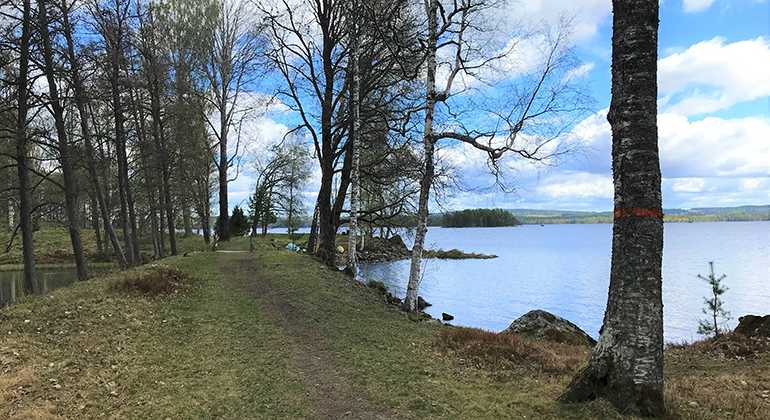 Vandringsled utmed sjön Yngen.