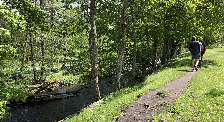 Backaleden mellan Alunbruket och Hallamölla.
