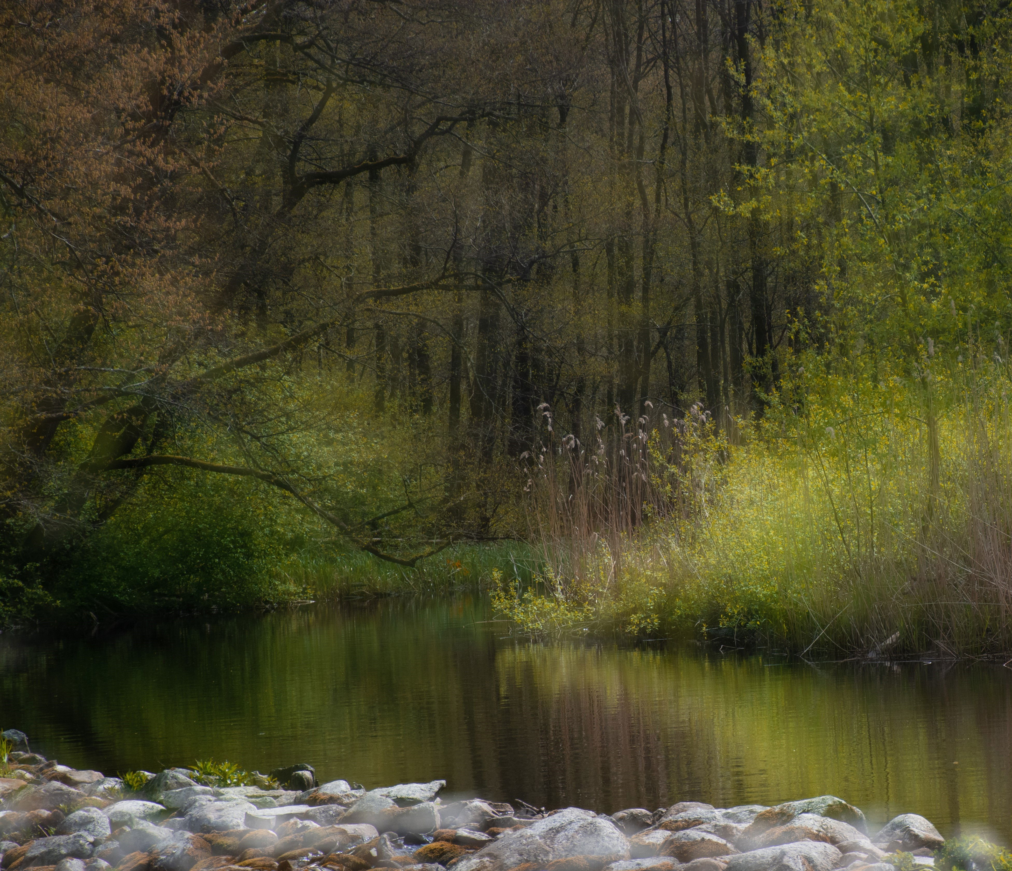 Fotoutställning Med kärlek till vatten - se alla utvalda bidrag