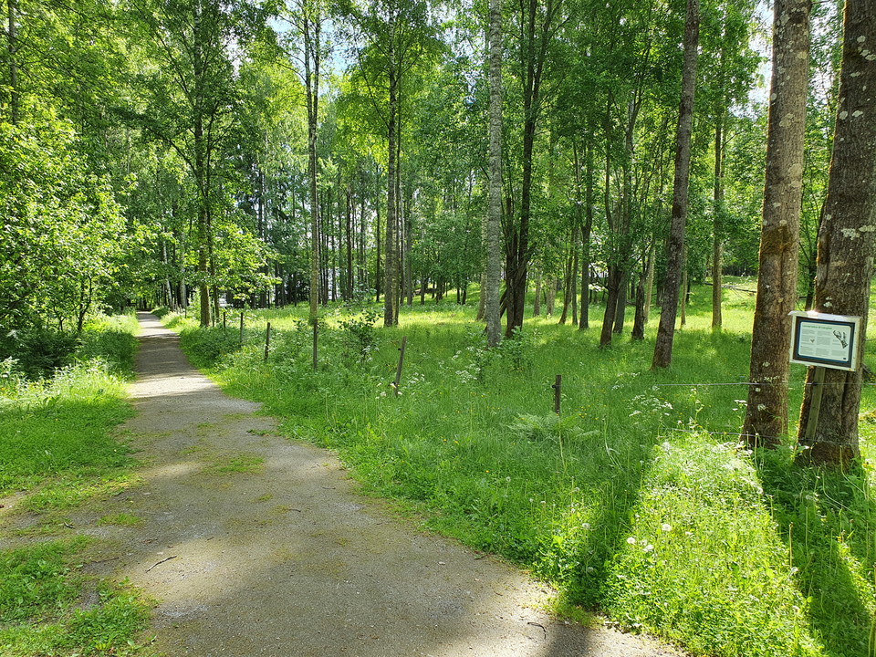 Grusad bred gångväg går längs ängsmarken. 