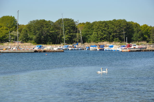 Segelled avstickare Aspö Lökanabben