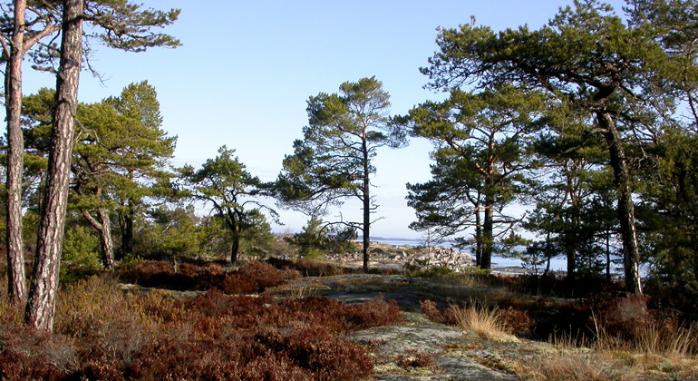 Torrö, Naturreservat
