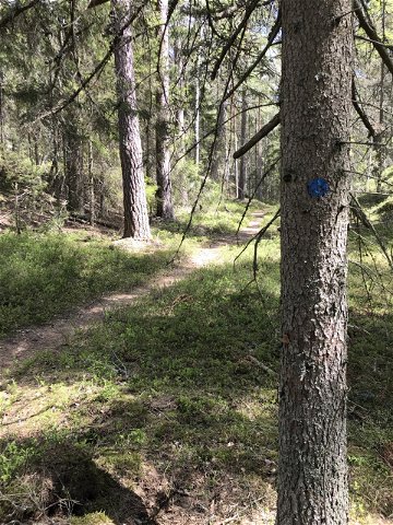Hiking trail, Stora Alsjön
