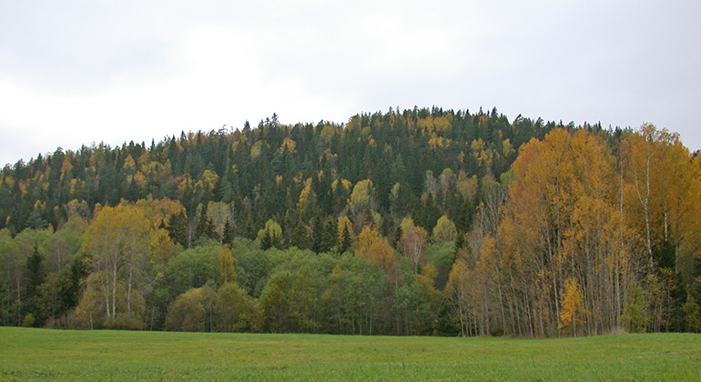 Vy över Nordbyberget. Foto Fredrik Wilde.