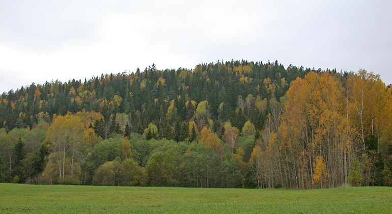 Nordbyberget, Naturreservat