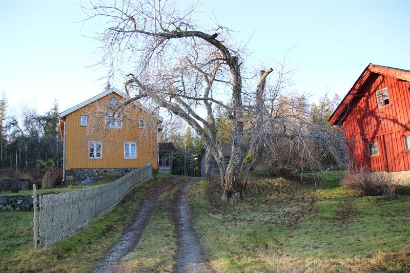 Tour pearls: Hylliåsen, Spydeberg