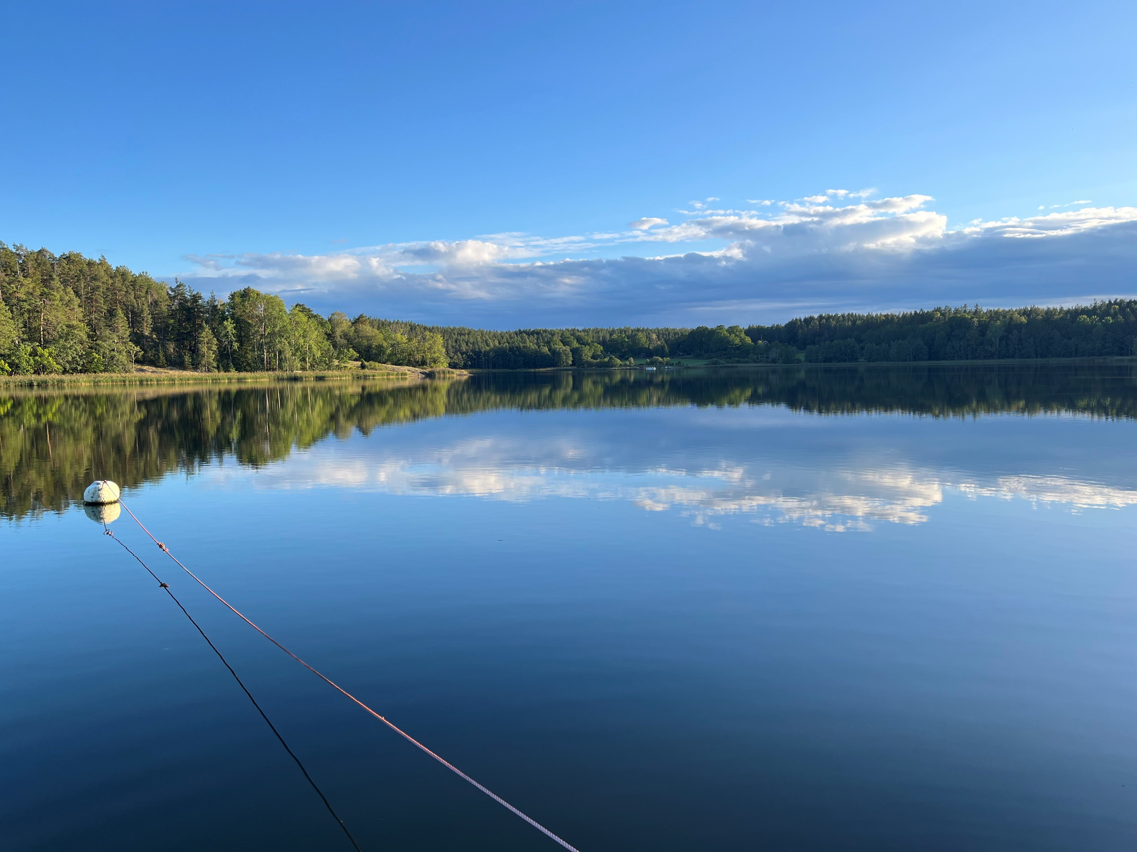 Utsikt över Kyrkviken