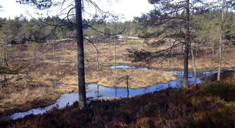 Djupdalshöjden.