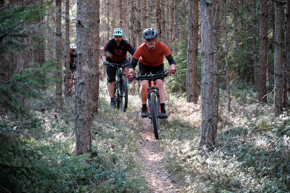 Härlig singletrack i skogsmiljö
