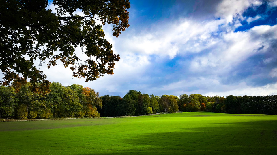 Vy över en grön odlingsyta inom naturreservatet Bogesundslandet.