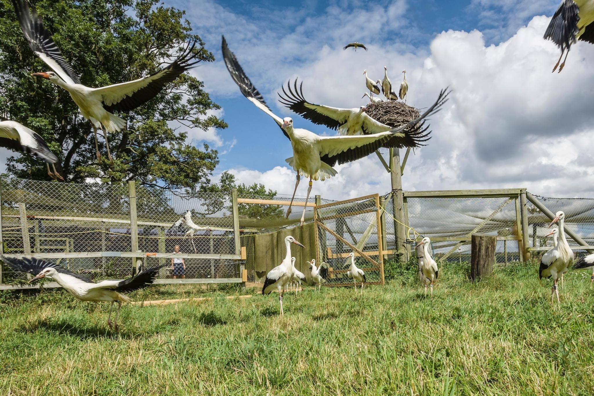 Storkhägnet Fulltofta