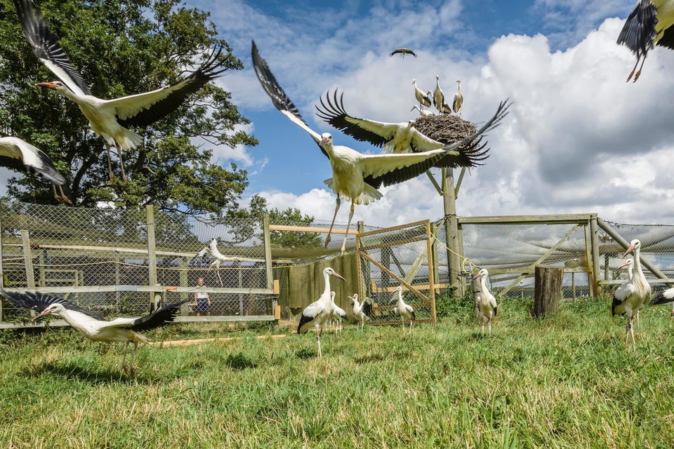 En heldag i Fulltofta, Hörby
