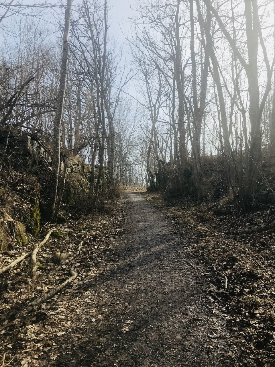 Foto Josefine Karlsson