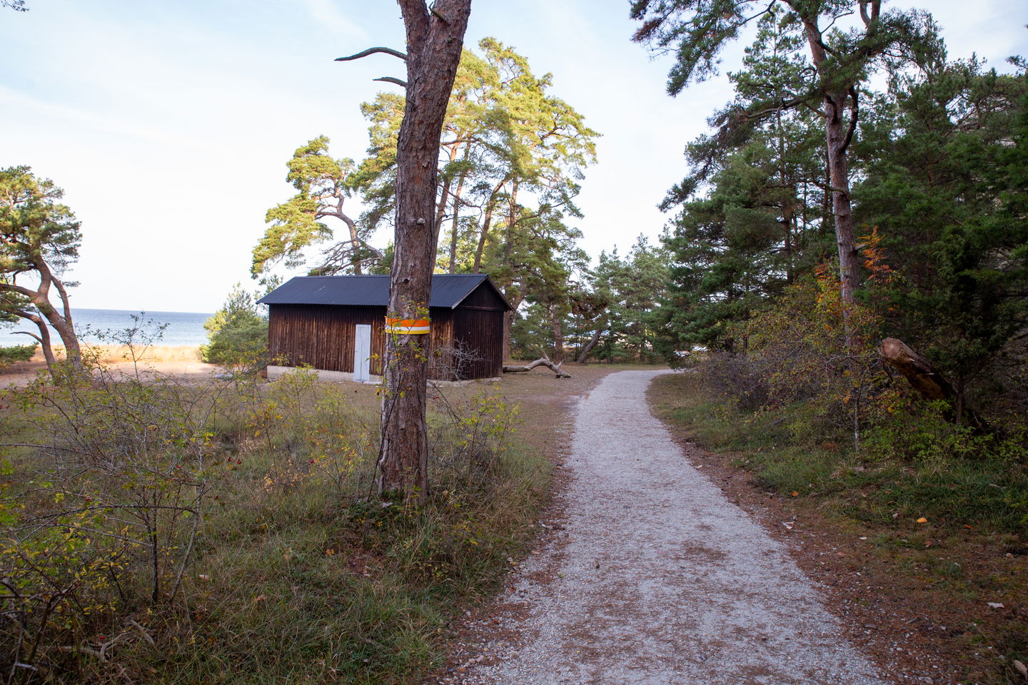 grusad stig och ett litet hus.