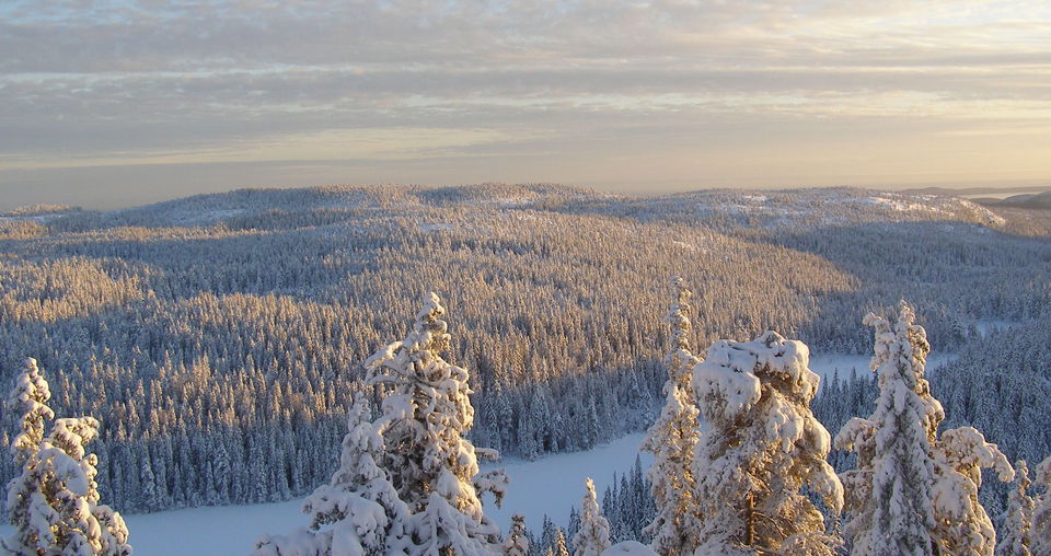 Utsikt från Nylandsruten vintertid. Foto: Johan Uebel, Länsstyrelsen