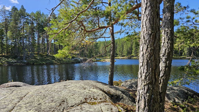 Stömneleden - The Silent Trail