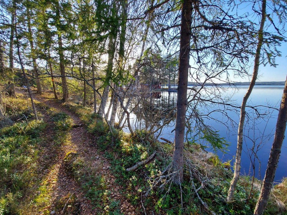 Längs Djursjön