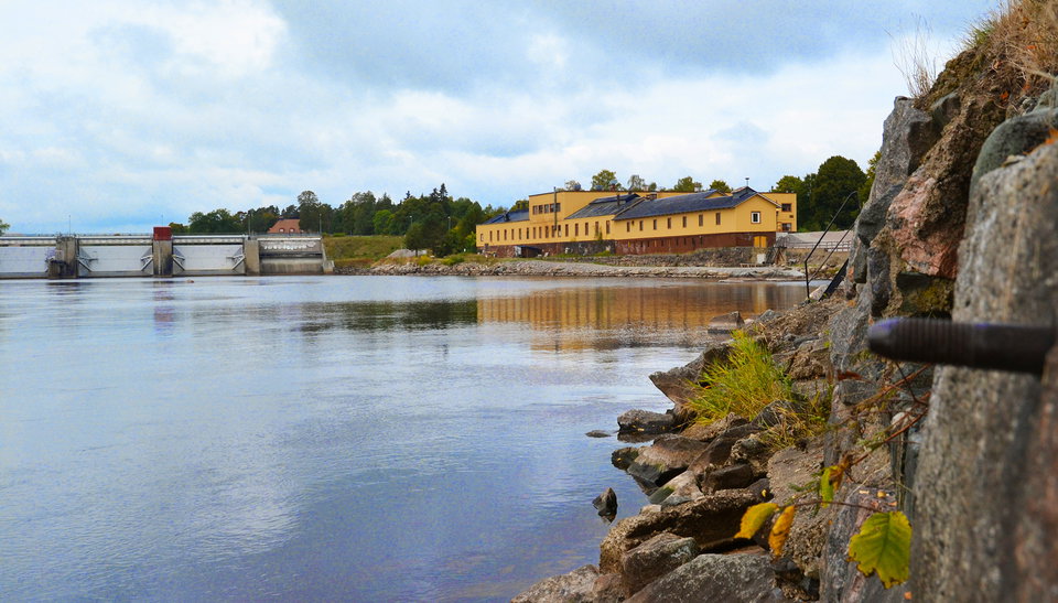 Ljusnan dammluckor, Ljusne