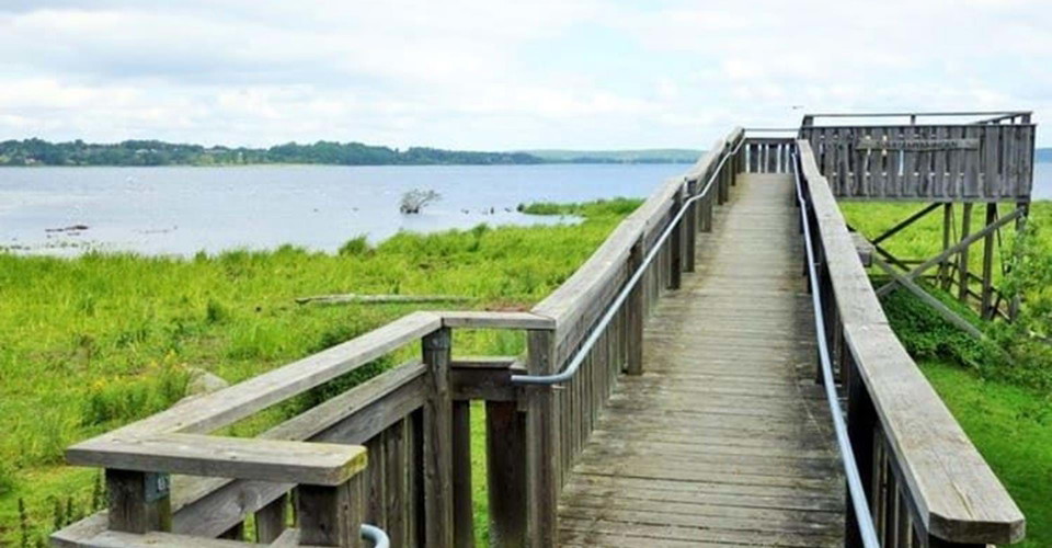 Fågeltorn Nybro vid Svartåmynningens naturreservat
Etapp: Berg-Trädgårdsföreningen
Linköping