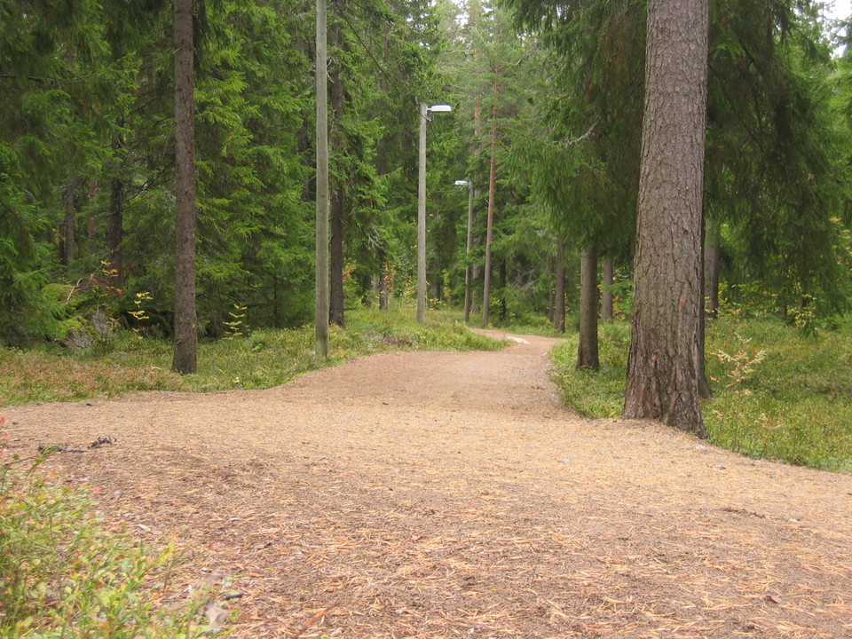 Ryggisspåret under barmarksperioden