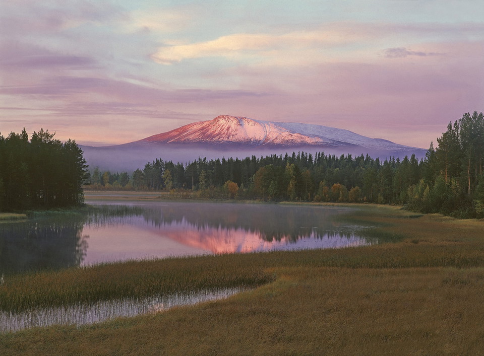 Sonfjället. Ensamt och brant reser sig kalfjällsmassivet över de omgivande skogarna. Anders Good /IBL Bildbyrå.