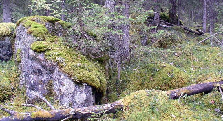 Ätnakåbbå.