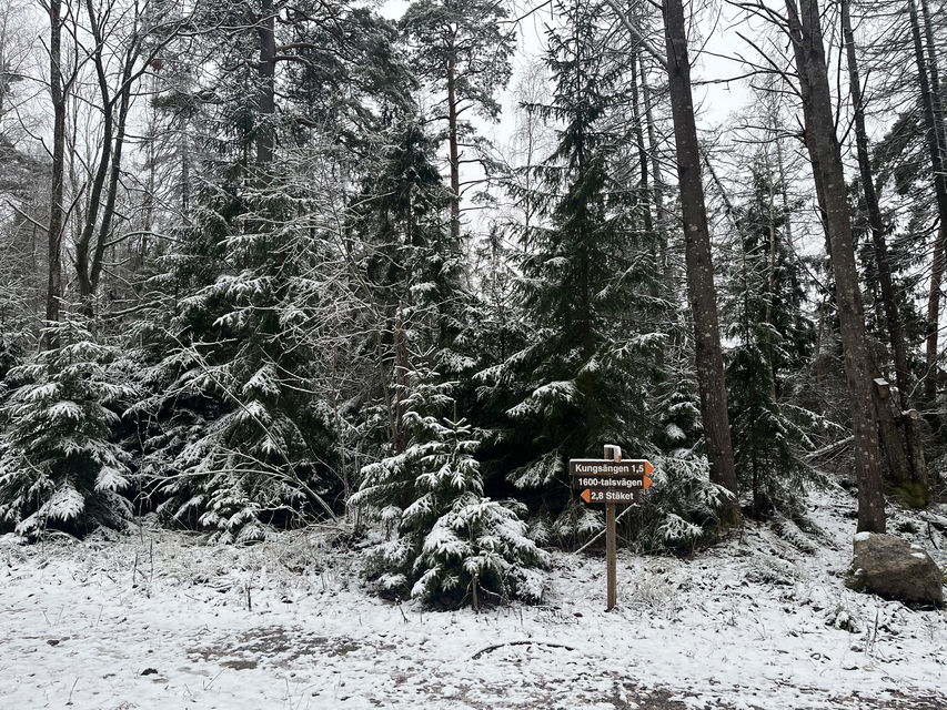 Hänvisningspilar vid Dalkarlsbacken