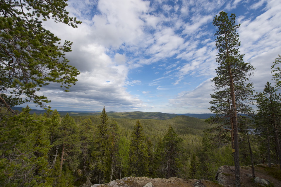 Utsikt från Björnberget.
