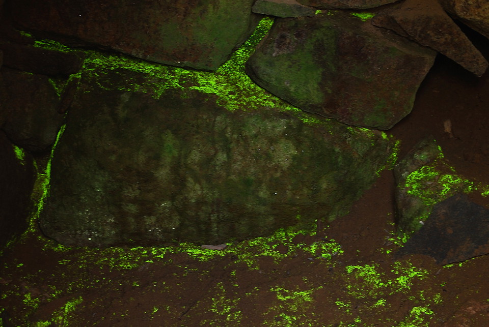 Fotograf: Tobias Ivarsson