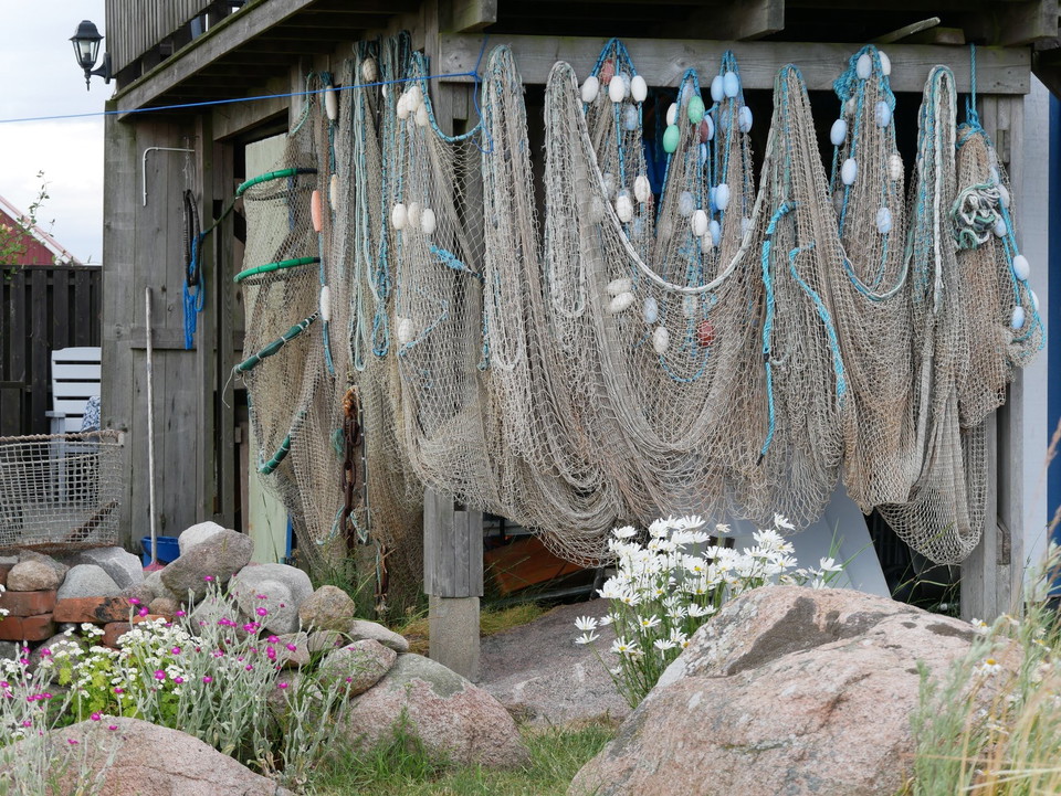 Ungskär,
