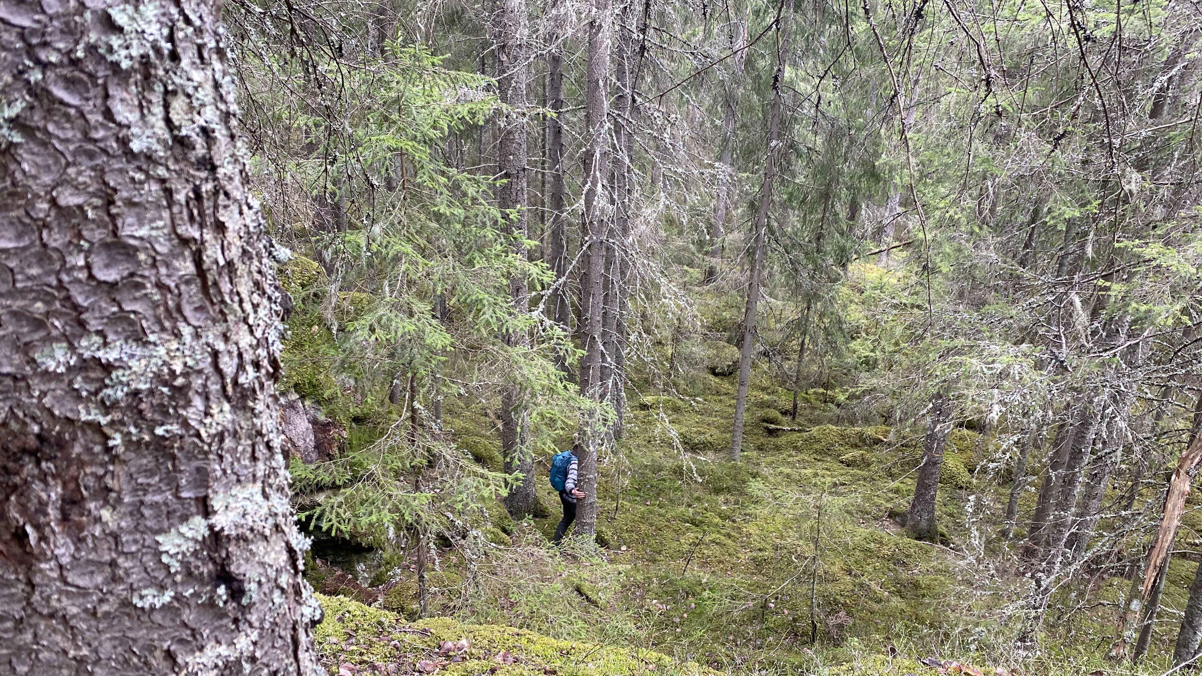 Fagersta - Landsbergstriangeln