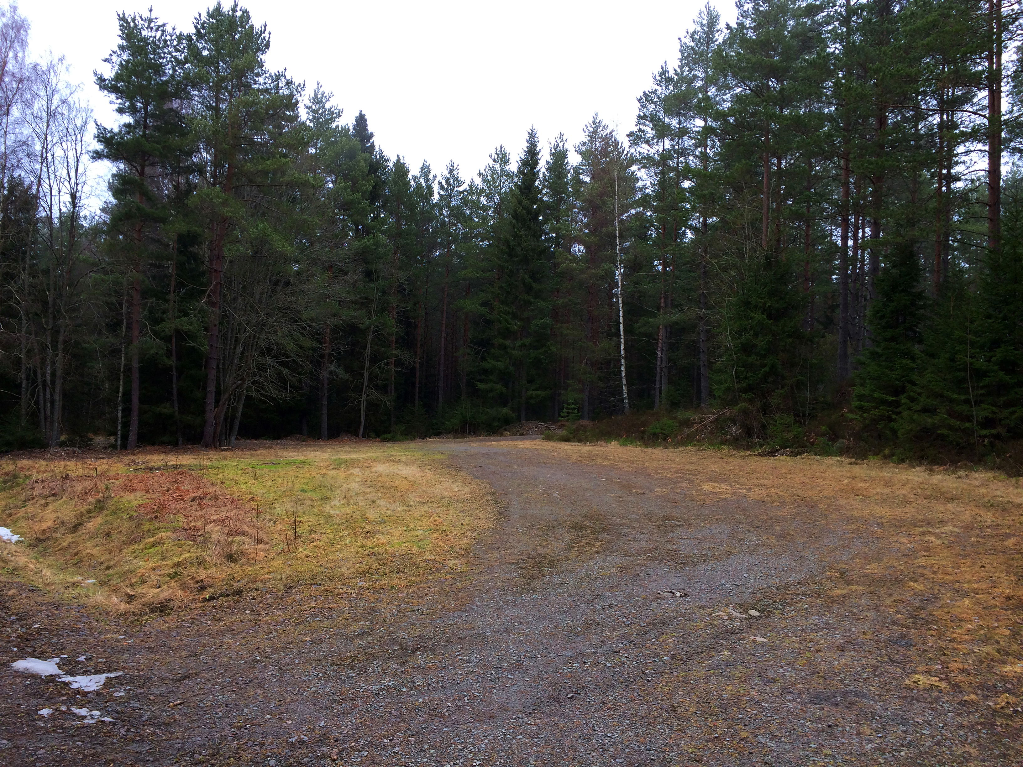 Dammtorp - Naturnära Övernattningsplats för husbil