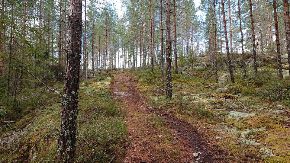 Härlig kupering i riktning mot Högbyn