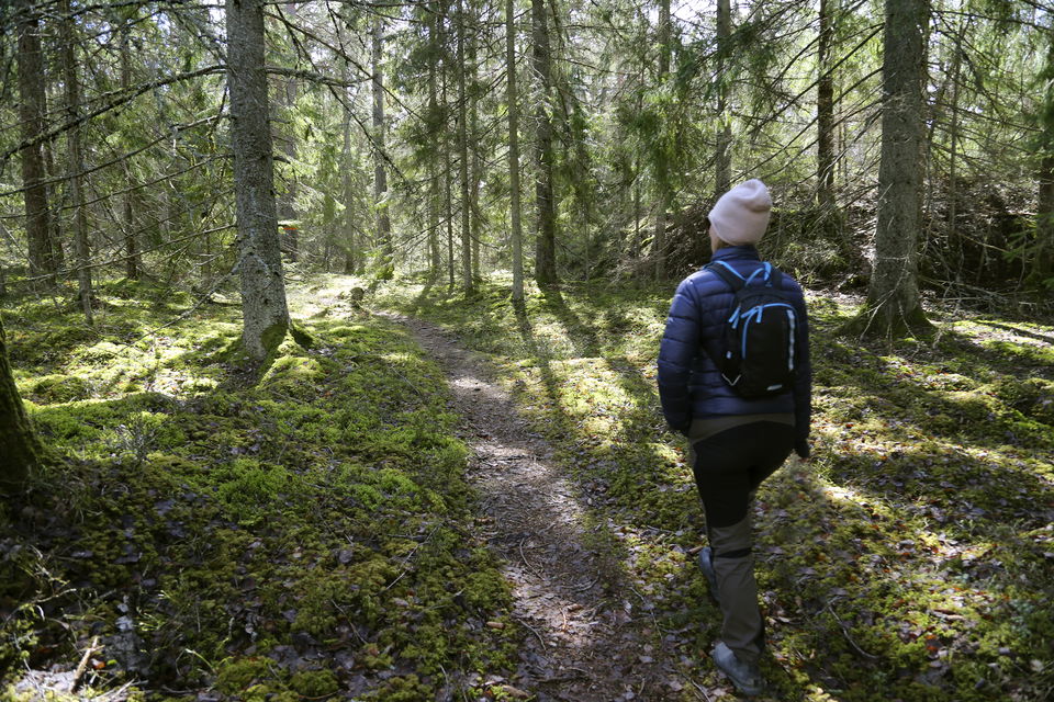 Person som vandrar på en stig i skogen.