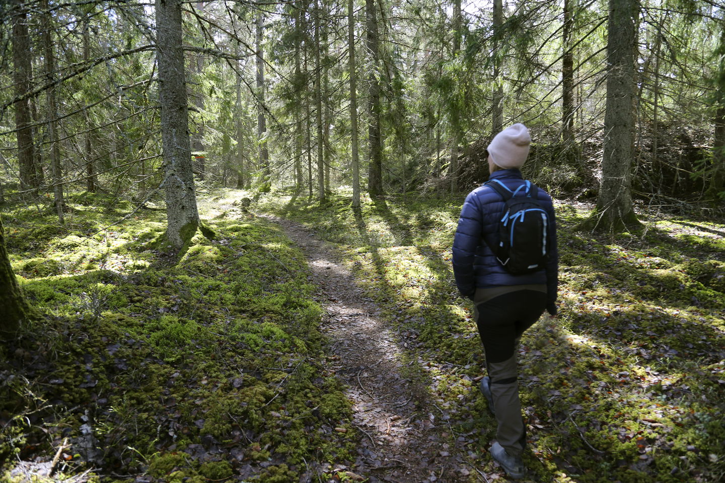 Person som vandrar på en stig i skogen.