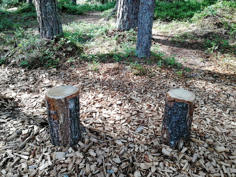 Två par av push-up stubbar