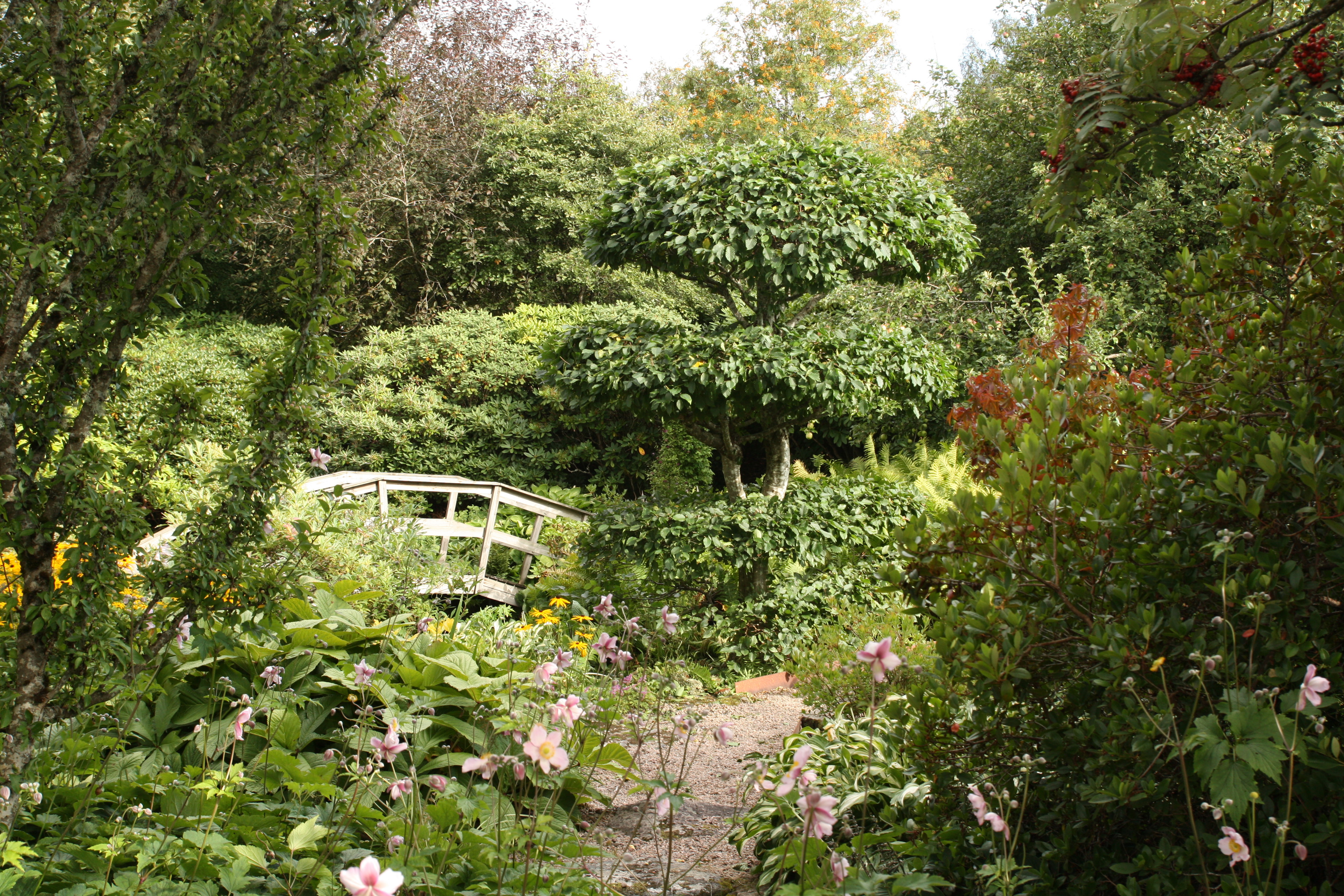 Besuchergarten des Hofes Kärrhult