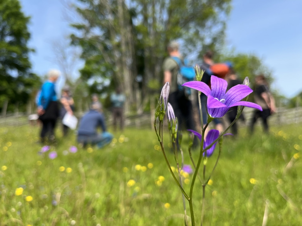 En grupp människor står samlade på en blomsteräng.